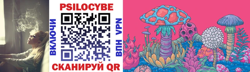 Галлюциногенные грибы Cubensis  мега зеркало  Качканар 