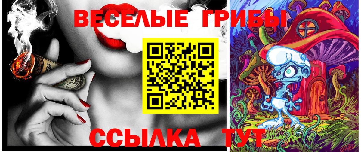 Псилоцибиновые грибы мицелий Качканар