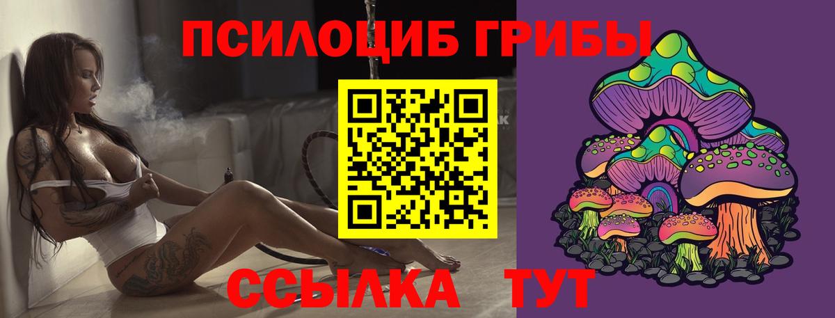 где купить наркотик  Псилоцибиновые грибы мухоморы  Вход с VPN  Качканар 